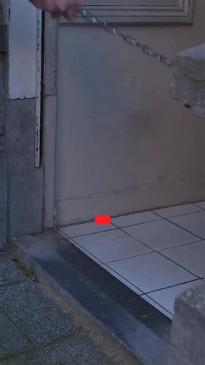 In Den Haag loopt Stijn met een robothond aan de lijn. Een machine van metaal en AI, maar voor hem voelt die steeds meer als een echte hond. Maar wie is hier eigenlijk écht het baasje? #robot #honden #editienl #rtlnieuws | Editie NL