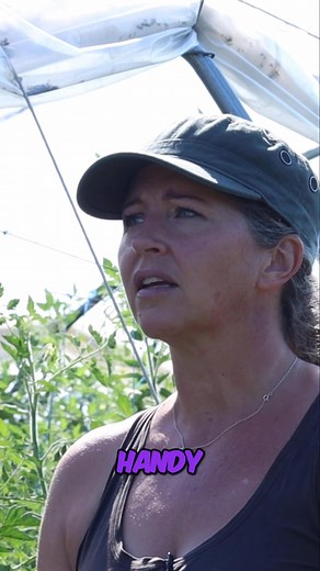 2K views | Farmer's Tool Dilemma: When to Upgrade Your Farm Tools? * Are you still using that old shovel, or is it time to invest in something new? What’s the one tool you can’t live without on your farm or in your garden? Share your must-haves below! * Full video: Finding Peace & Tranquility In Your Job with Small Scale Farming Channel: Limitless Growth Co (@limitlessgrowthco) Guest: Karla Cox (@plottwistfarmsbc) * #LimitlessGrowth #GrowWithLGC | Limitless Growth Co | Facebook