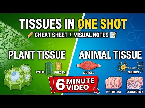 Tissues in 6 Minutes | Class 9 Biology Fast Revision + FREE Cheat Sheet & Notes| NCERT Discovered