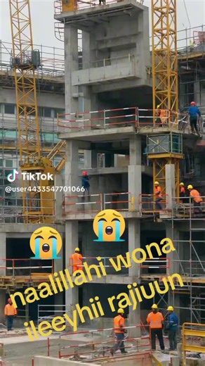 Tamii arsii على TikTok