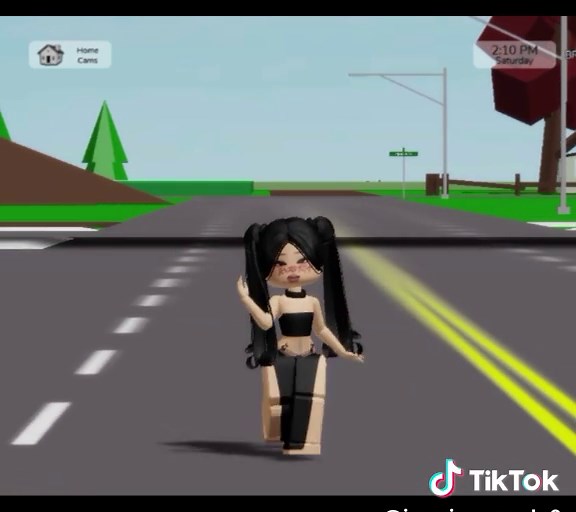 Exploring New Brookhaven Walk and Outfit Animations