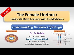 Lect 1 Female Urethra Understanding basics of design