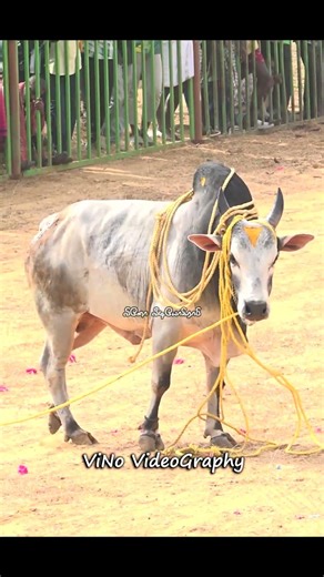 Keezhathaniyam Amaran 💥🔥💯