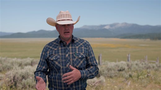 Most ranchers in Idaho do not want grizzly bears to disappear in the state. Many grew up in open spaces, and they love nature. However, they have a direct ask to move grizzly bears from federal management (under the Endangered Species Act) to state wildlife agencies. Most bears do not cause problems, but when one does, the ability to work and set policy with those who live in Idaho is much more effective than relying on those that live on the other side of the country. | Idaho Farm Bureau Federa