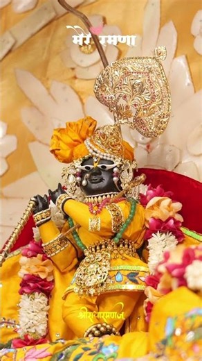 तुम हो तो सब मेरा!! 💞#trending#siyaara#vrindavanmarg#trendingbhajan#song#vrindavanmarg#hindudeity#