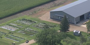 South Dakota U-Pick flower farm in full bloom with unique feature