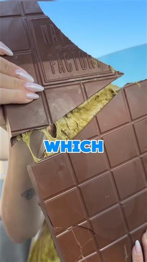 You can taste only one chocolate. Which one would you eat?