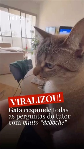 🐱🤣 Gata responde todas as perguntas do tutor com muito "deboche"
