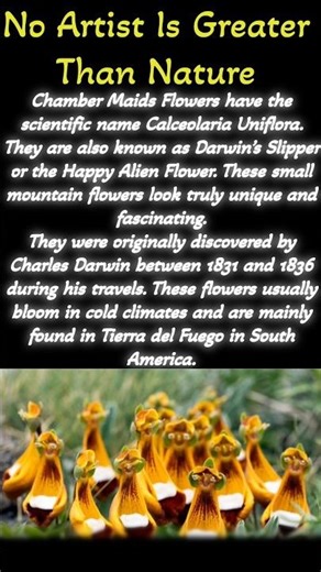 Two Most Strange Flowers in the World # gk #gkindia #gkworld #educational #facts #knowledge #flowers