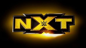 5 Reasons Why NXT Has Been So Successful