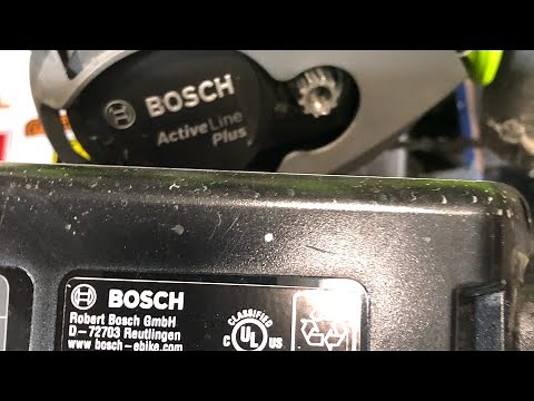 Bosch Active Line Plus hill climb test.
