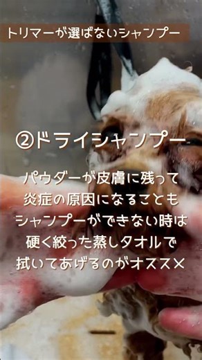 オススメしない犬用シャンプー