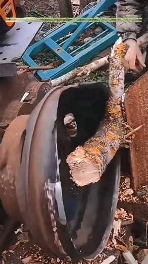 The Buzz of the Blade: How a Big Saw Turns Logs into Firewood