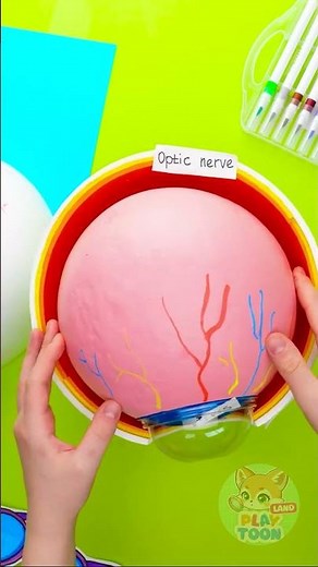 🔍 Can You NAME Every Part Of Your EYE?! 👁️🤩 #kids #games