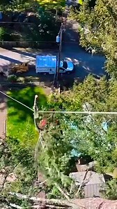 $10k for Tree Removal | Hunicke | Facebook