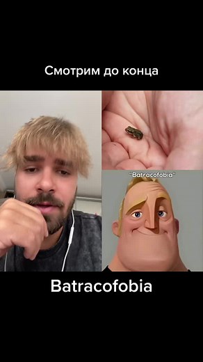 Frog Close-Ups and Unique Impressions in Photos