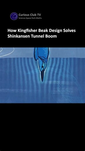 Why Japan's Fastest Train Copies a Bird's Beak