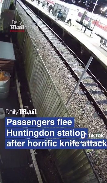 Huntingdon Train Incident: Exclusive Footage Revealed