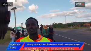 21K views · 342 reactions | Musina Express Update News on Reels | Facebook