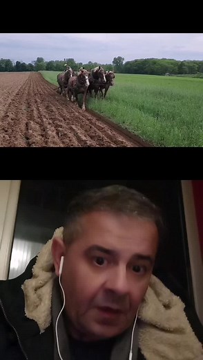 #duet cu @backtotherootspodcast TikTok