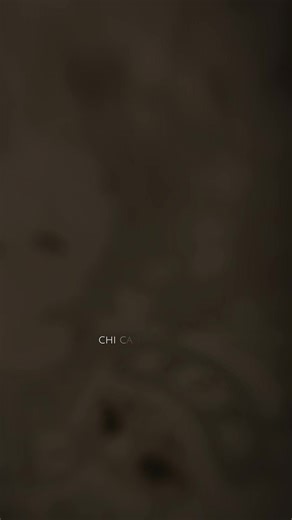 #xuhuong #playtogether #viral #fyp