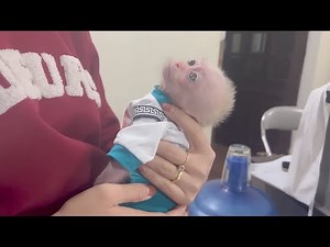 OMG! What happened to the poor baby monkey's eyes