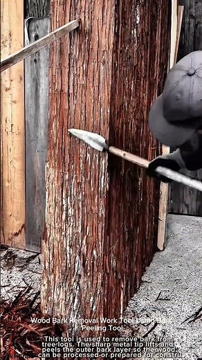 Wood Bark Removal Work Tool Using Bark Peeling Tool #worktool
