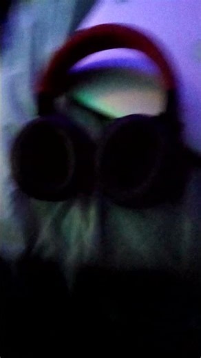 Finding Nemo DVD (as of 11/5/2025) (Part 1)