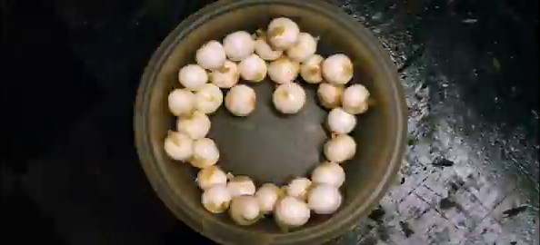 thought those were the little mozzarella pearls 😭😭