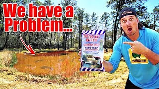 First backyard catfish pond trip turns into problem