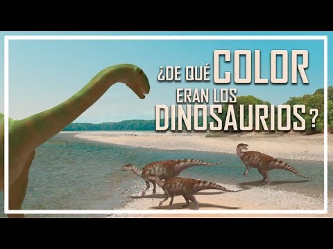 🦖 CAN WE KNOW THE COLOR OF DINOSAURS?