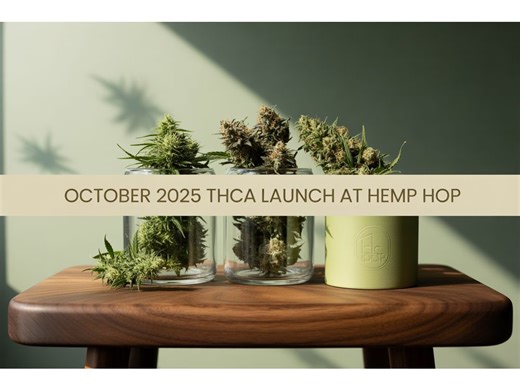Hemp Hop Launches 3 High THCa Ice Water Hash and Iconic Flower Strains: October 2025