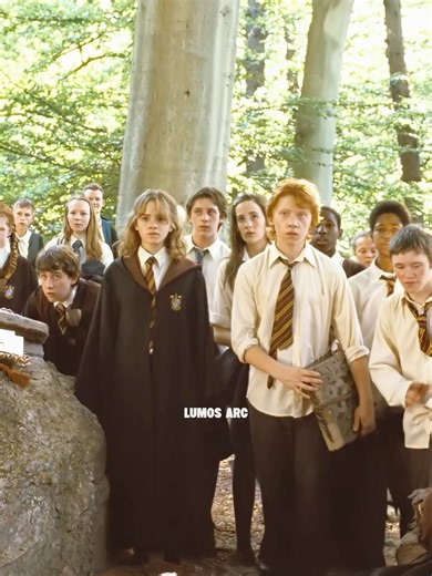 Harry Potter || Romione ❤️ #shorts #hogwarts #harrypotter #hermionegranger #ronweasley