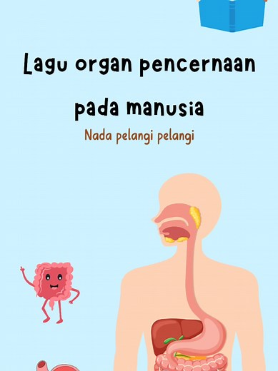 Lagu Sistem Pencernaan Manusia untuk Anak-anak