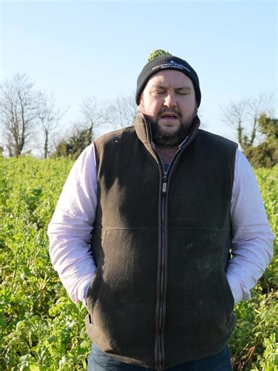 Maximizing Yields with Effective Cover Crop Management