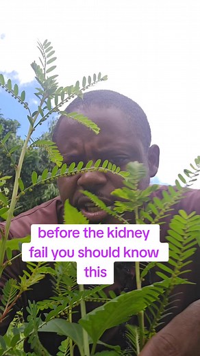 1.6K views · 7.1K reactions | before the kidney failure you should know this #kidney #sharkamal #reverseit | Shar Kamal | Facebook