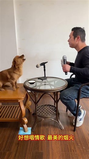 # Human and Dog Sing "The Temptation of the Wolf" # Dog Skills