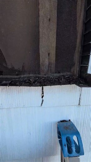 Proper bat exclusion and sealing is critical to preventing bats from reentering your attic. This particular gable area had been overlooked by multiple companies. It was assumed to be properly protected because a screen had been installed. However, while screening can provide temporary protection, bats roosting directly on the material can eventually compromise it, creating openings over time. A thorough inspection and the use of durable, professional-grade materials are essential to ensure long-