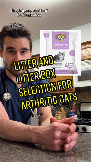 Litter Box Tips for Arthritic Cats