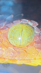 BABY Variable Bush Viper eating! Red dragon #babysnake #babyviper #bushviper #atherissquamigera #venomoussnakes | Mark’s Reptiles