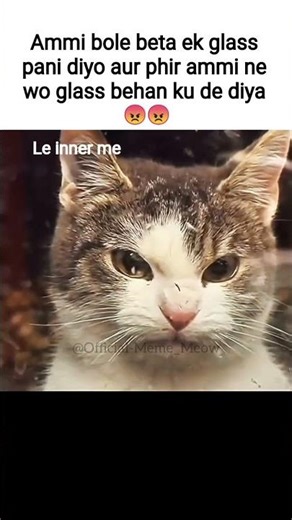 Behan #tweetreels #relatable #cat #catmemes #shorts #shortsfeed #viral #viralshorts #fypシ゚viral #fyp