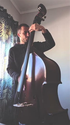 Upright Bass Percussion Groove Melodharmony No.8