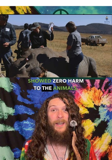 Positive Vibes in Episode 246: Happy Hippy Headlines