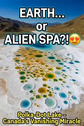 The Polka-Dot Lake: Earth's Alien Spa That Vanishes Every Year!