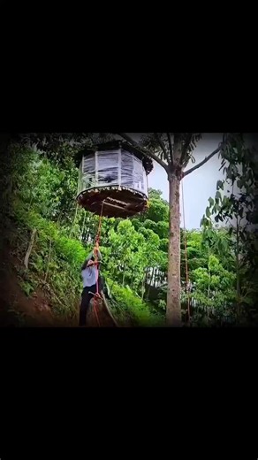 Wild Trail Life 🛖🪓🌍 (@wildtraillife) adlı kullanıcının orijinal ses - Wild Trail Life 🛖🪓🌍 ile oluşturduğu videoları