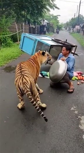 PRIA PEDAGANG KELILING BERTAHAN DARI SETANGAN HEWAN BUAS INI #shorts #viral #trending #short #fyp