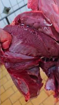 Beef offal simply explained: Heart, liver, kidneys & Co. – Knowledge about the meat trade 🥩🐂