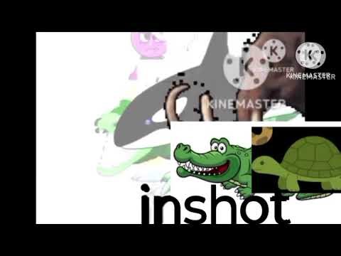 Turtle broke the clock