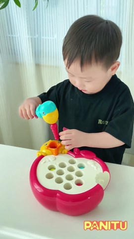 Magnetic Bird Feeding Game Woodpecker Worm Toy Montessori Fine Motor Skills Toddler Toy Age 2-4 Sensory Toys for Toddlers 3-5 Educational Learning Toys 2 Year Old Boy and Girl Gifts