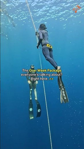 The One Week Exploration package combines a full Beginner Freediving Course.